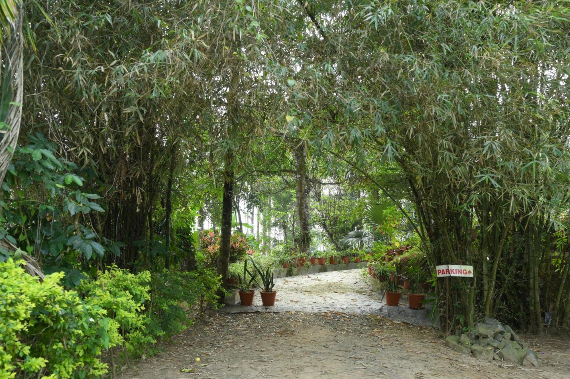 Coffee Island Resort Kaniyāmbetta Dış mekan fotoğraf