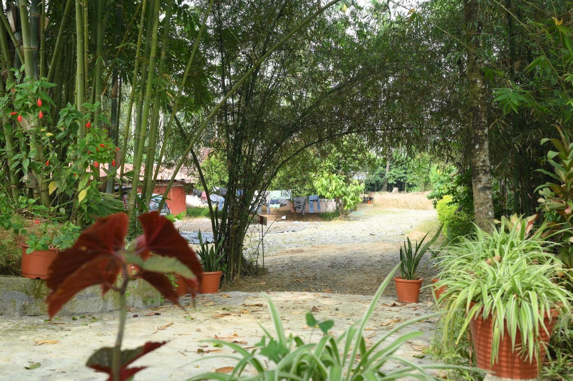 Coffee Island Resort Kaniyāmbetta Dış mekan fotoğraf